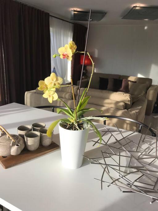 Topp Moderne Suite. Larvik Exterior photo